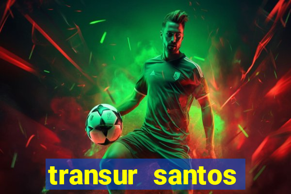 transur santos dumont x juiz de fora 2024